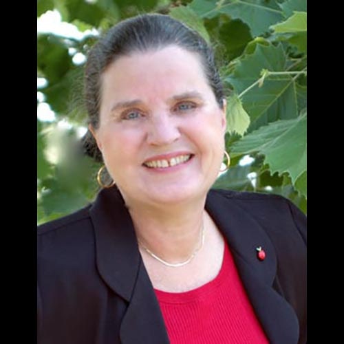 Lin Stepp